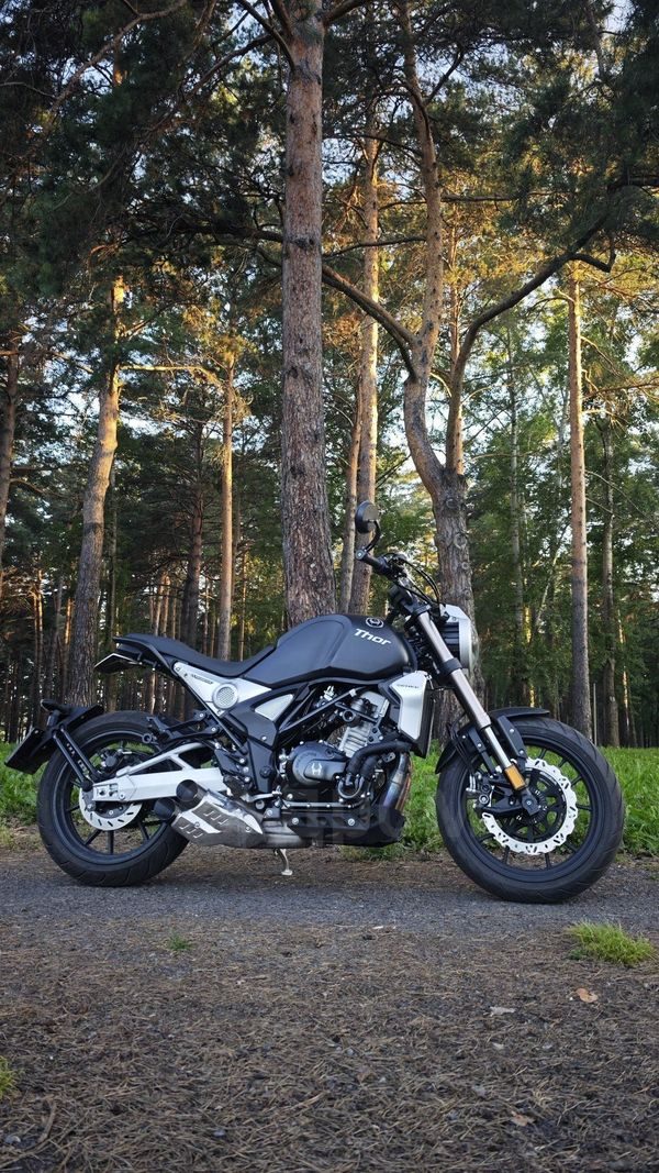 Regulmoto Thor 400 2023