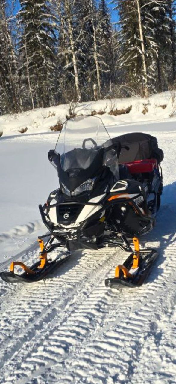 BRP Lynx 69 Ranger LTD 900 ACE Turbo 2024