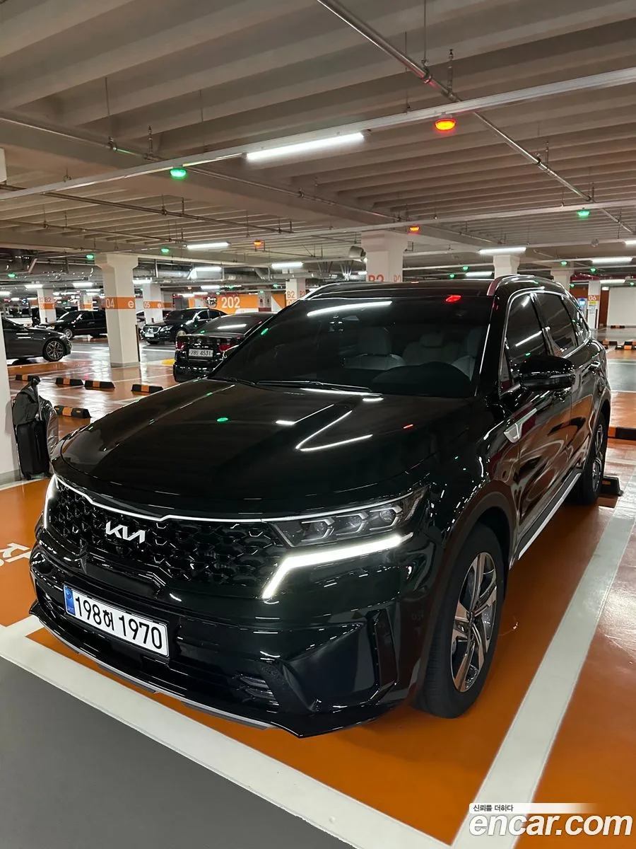 Kia Sorento HEV 1.6 2WD 2023 — миниатюра 2