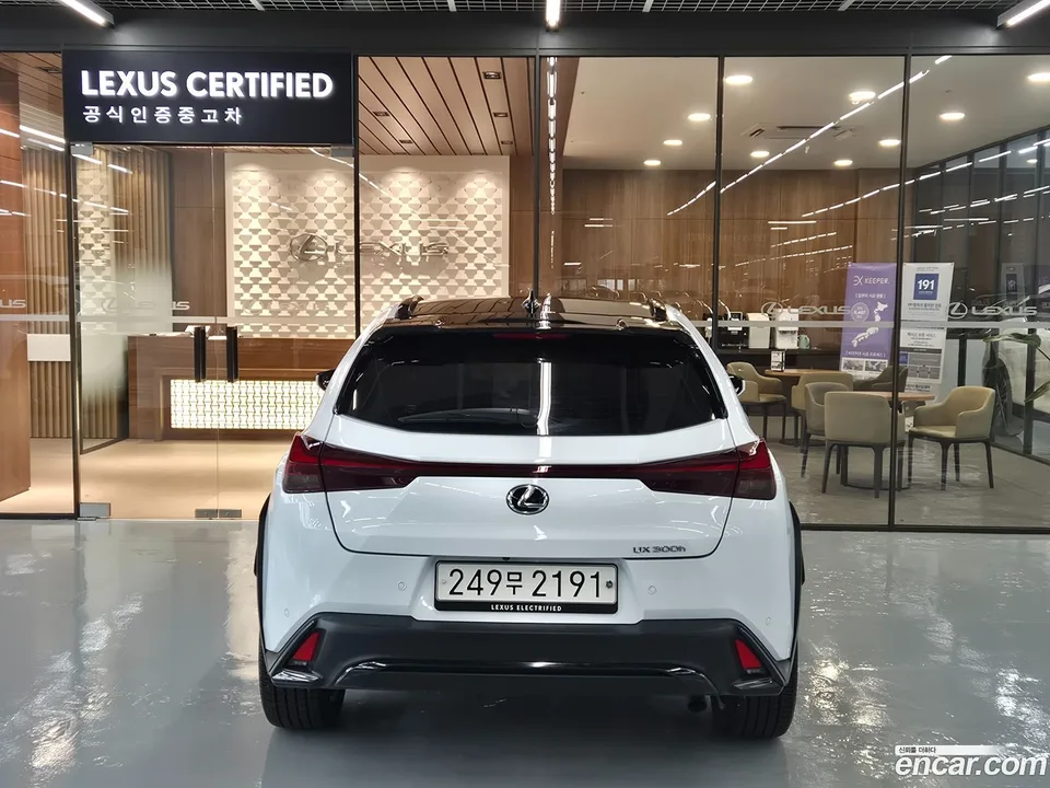 Lexus UX 300h 2.0 F-Sport 2WD 2024 — миниатюра 4