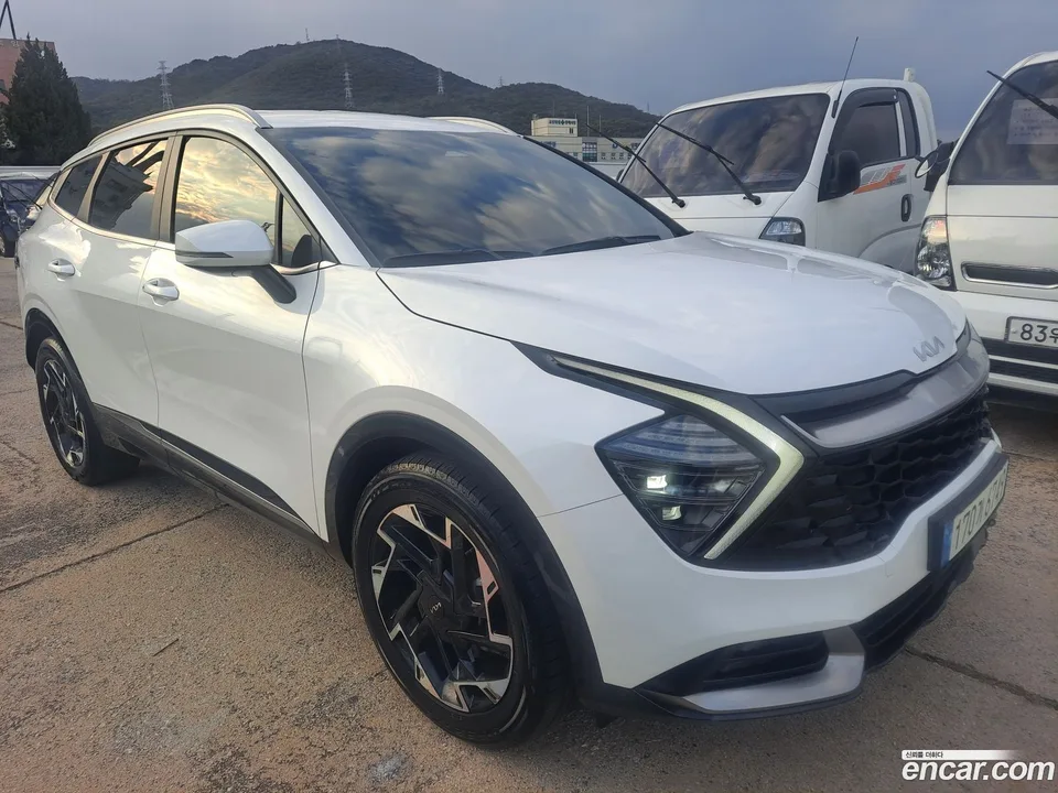 Kia Sportage 1.6 2WD 2022 — фото 1, купить с доставкой в Москву