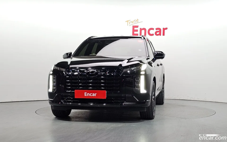 Hyundai Palisade 2.2 2WD 2024 — миниатюра 3