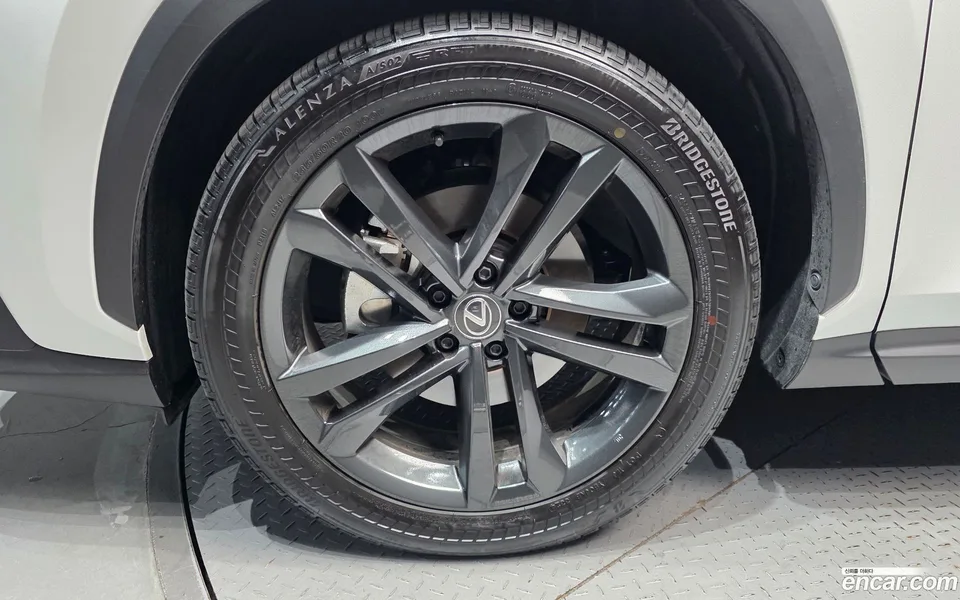 Lexus NX 350h 2024 — миниатюра 2