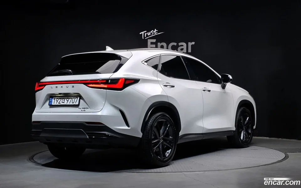 Lexus NX 350h 2024 — миниатюра 2