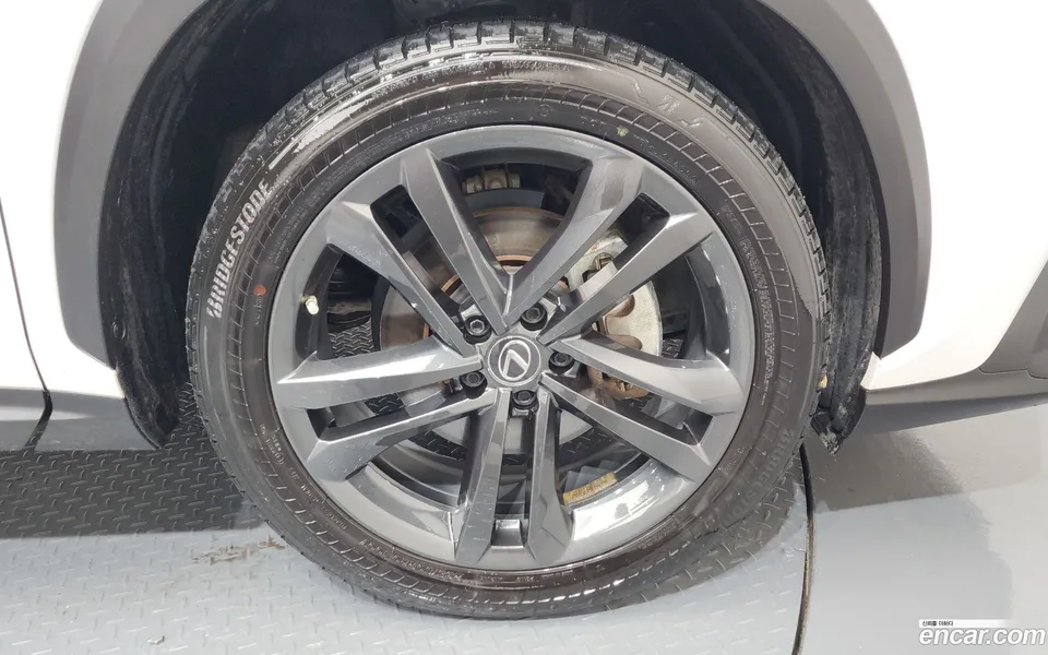 Lexus NX 350h 2022 — миниатюра 2