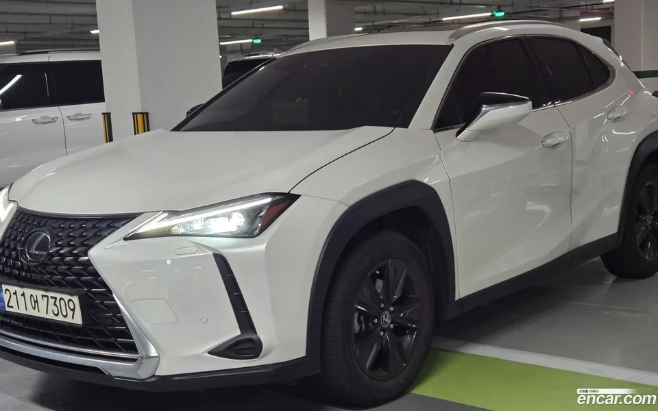 Lexus UX 250h 2.0 2WD 2023 — фото 1, купить с доставкой в Москву