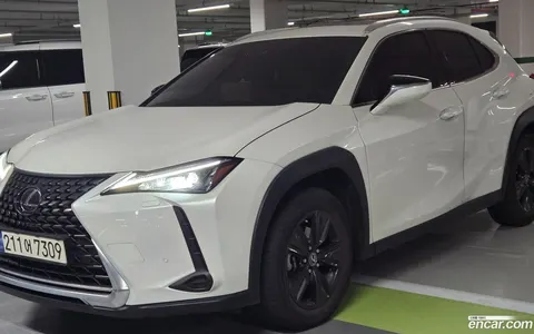Lexus UX 250h 2023 купить в Москве