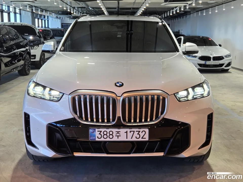 BMW X5 xDrive 30d xLine 2024 — миниатюра 2