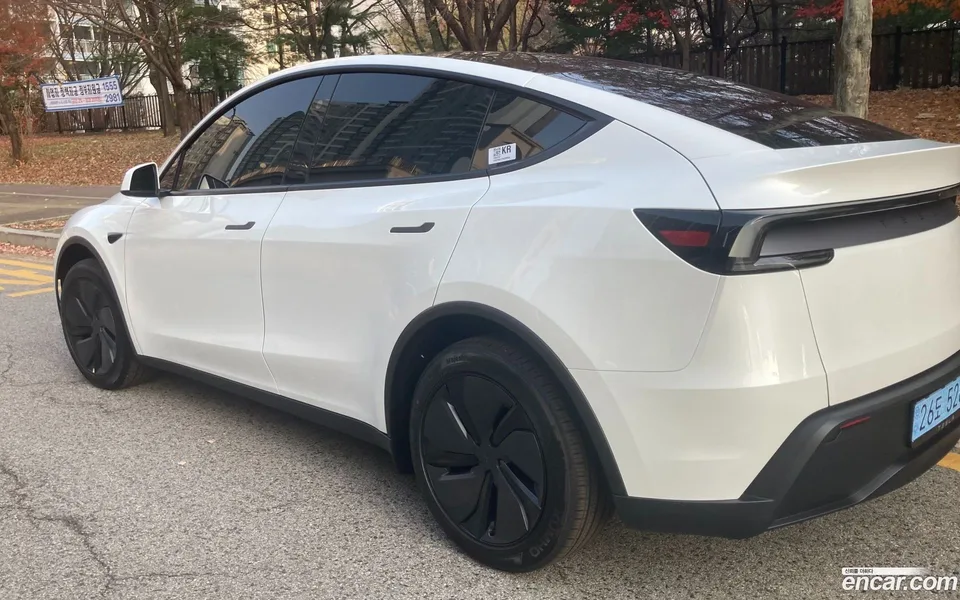 Tesla Model Y RWD 2025 — миниатюра 2