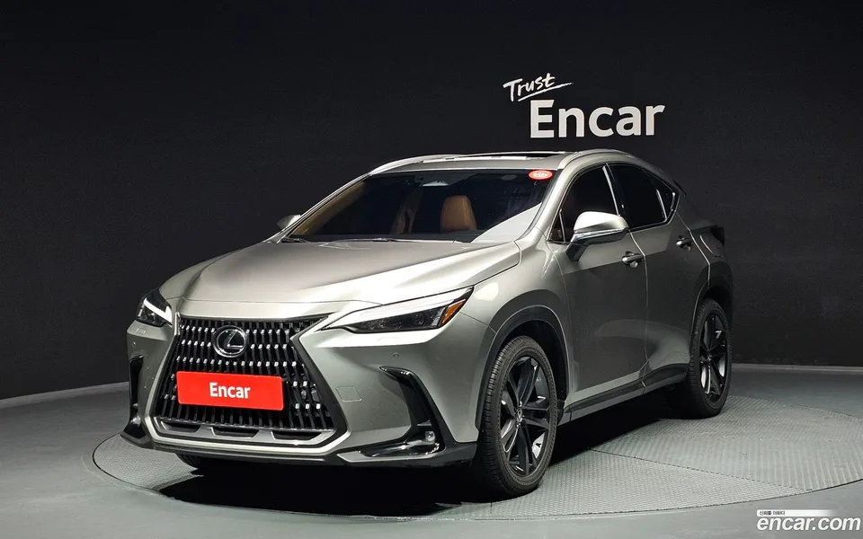Lexus NX 350h 2024 — фото 1, купить с доставкой в Москву