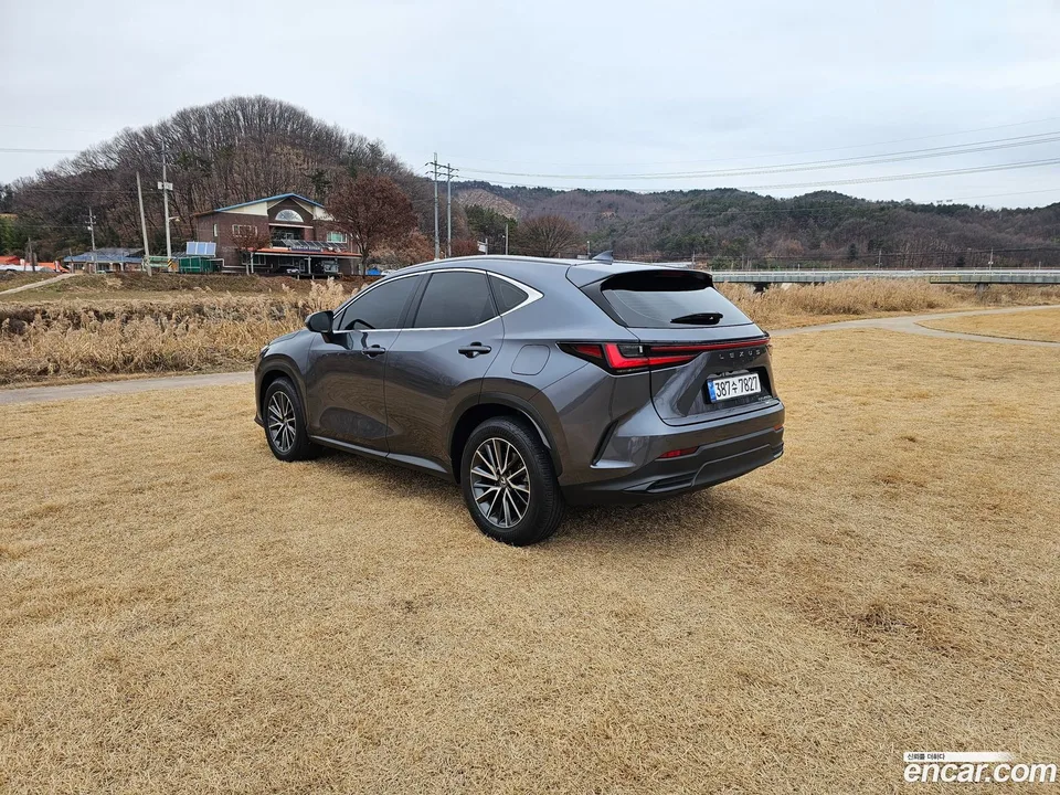 Lexus NX 450h+ 2023 — миниатюра 2