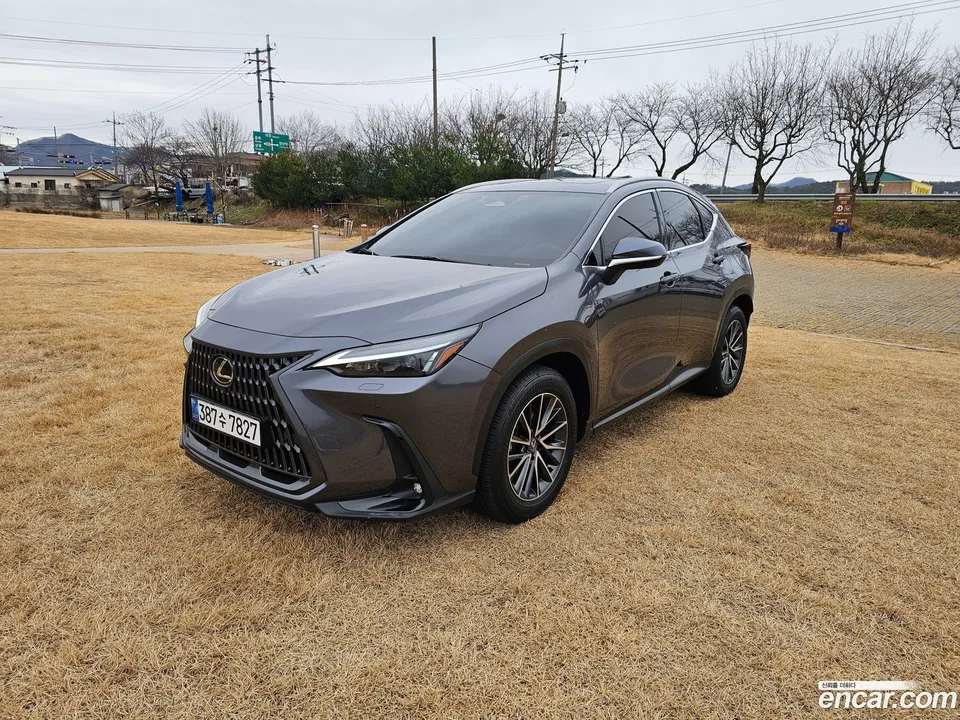 Lexus NX 450h+ 2023 — миниатюра 3