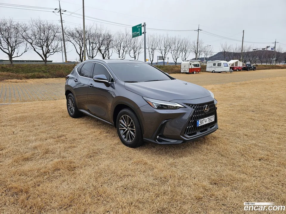 Lexus NX 450h+ 2023 — фото 1, купить с доставкой в Москву