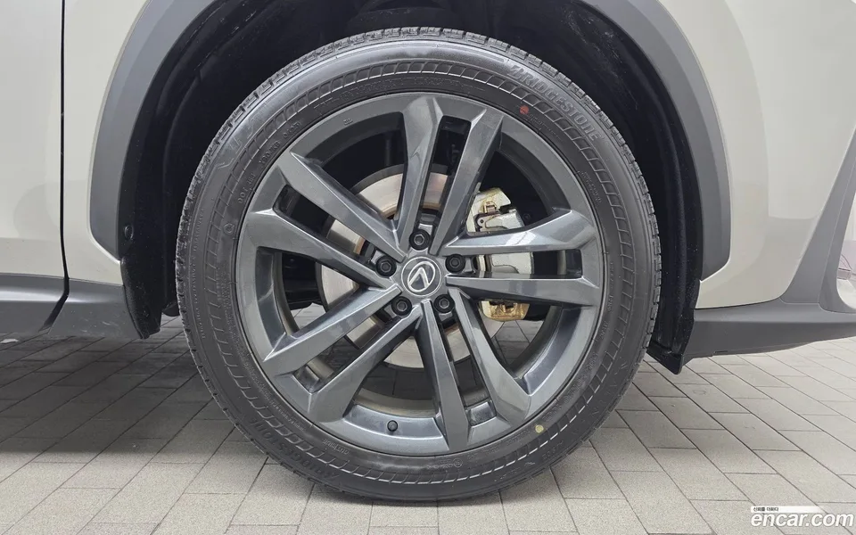 Lexus NX 350h 2025 — миниатюра 2