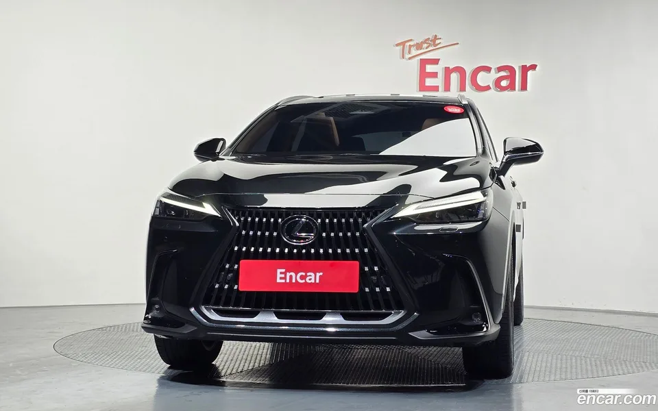 Lexus NX 350h 2023 — миниатюра 3
