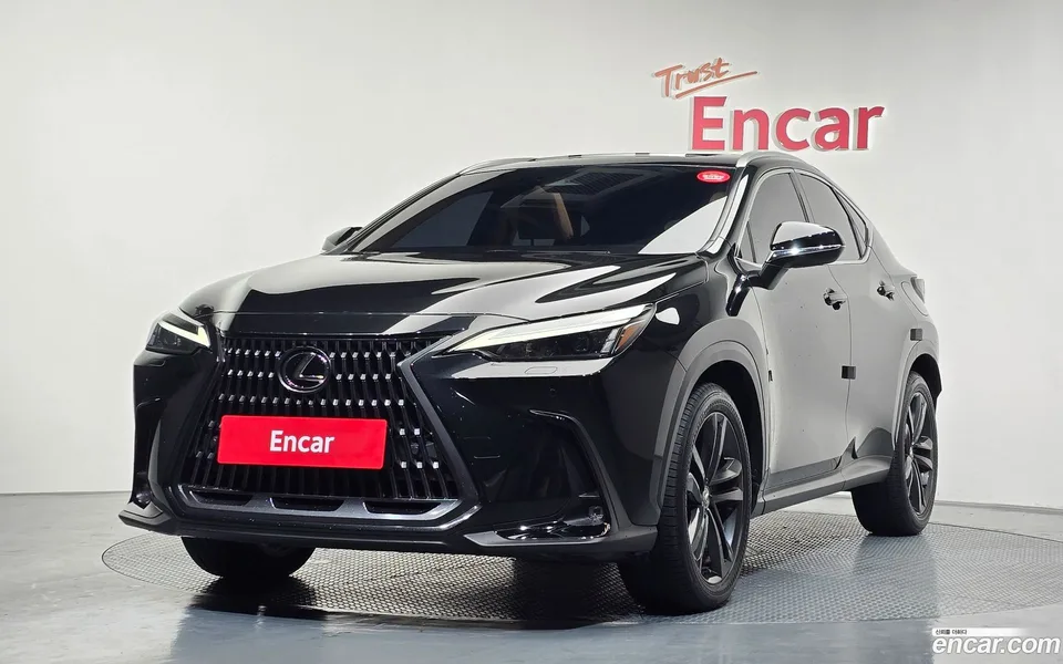 Lexus NX 350h 2023 — фото 1, купить с доставкой в Москву