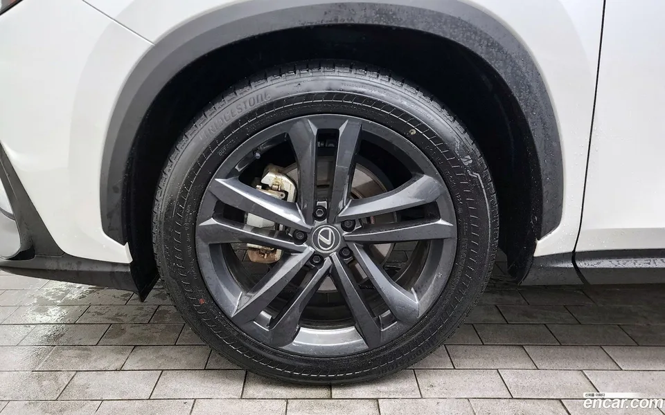 Lexus NX 350h 2024 — миниатюра 2