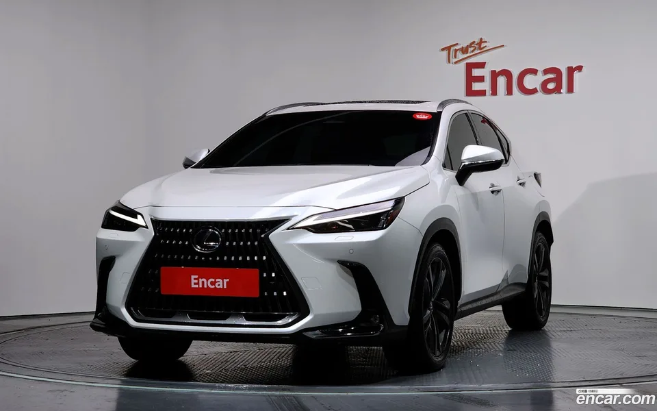 Lexus NX 350h 2024 — фото 1, купить с доставкой в Москву