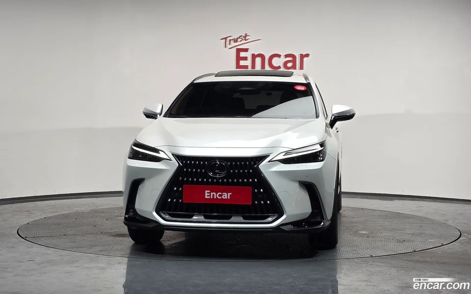 Lexus NX 450h+ 2024 — миниатюра 3