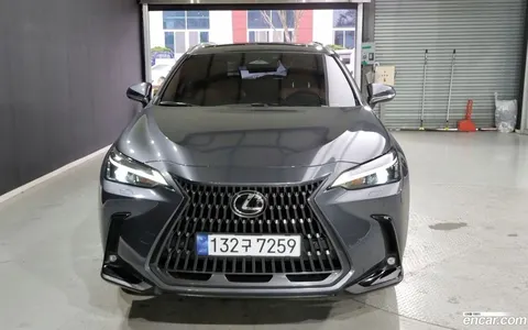 Lexus NX 350h 2023 buy in Moscow