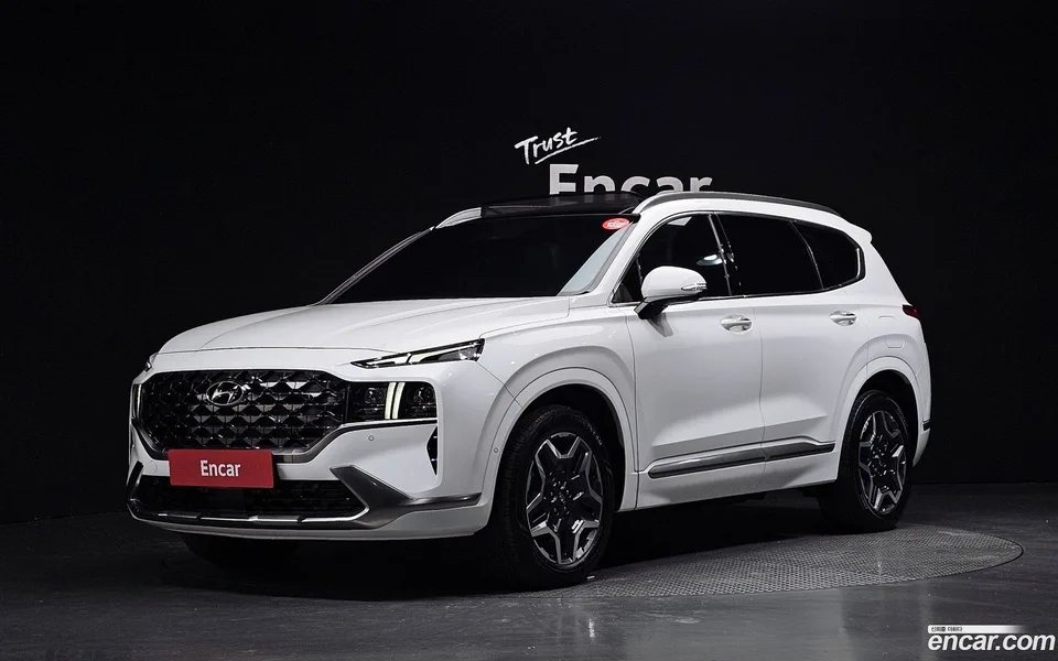 Hyundai SantaFe HEV 1.6 2WD 2022 — фото 1, купить с доставкой в Москву