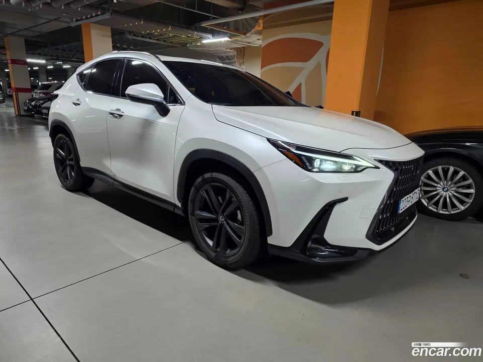 Lexus NX 350h 2024 — миниатюра 2