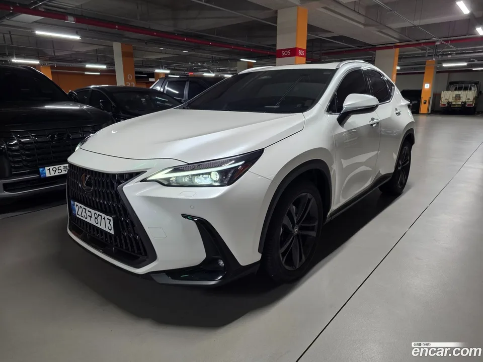 Lexus NX 350h 2024 — фото 1, купить с доставкой в Москву