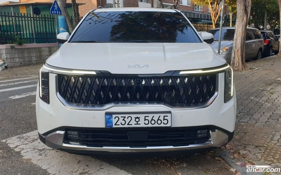 Kia Carnival HEV 9 2025 — миниатюра 4