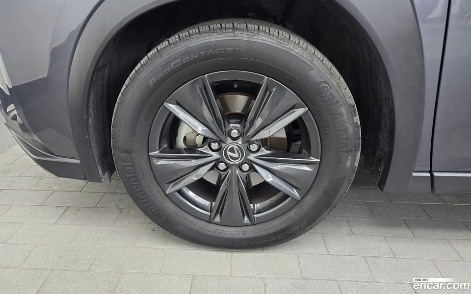 Lexus UX 300h 2.0 2WD 2024 — миниатюра 2