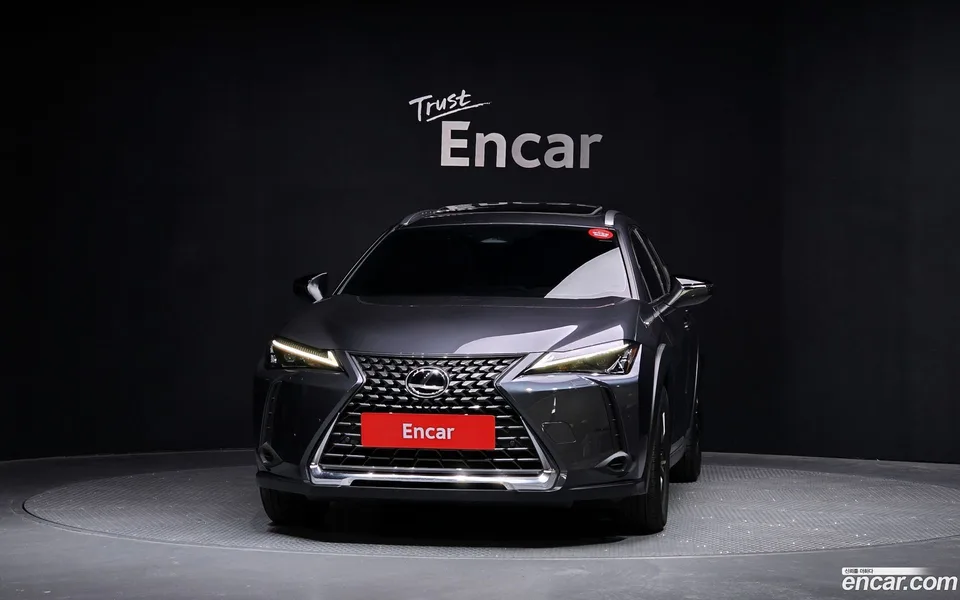 Lexus UX 300h 2.0 2WD 2024 — миниатюра 3
