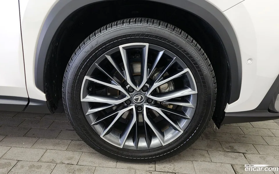 Lexus NX 350h 2024 — миниатюра 2