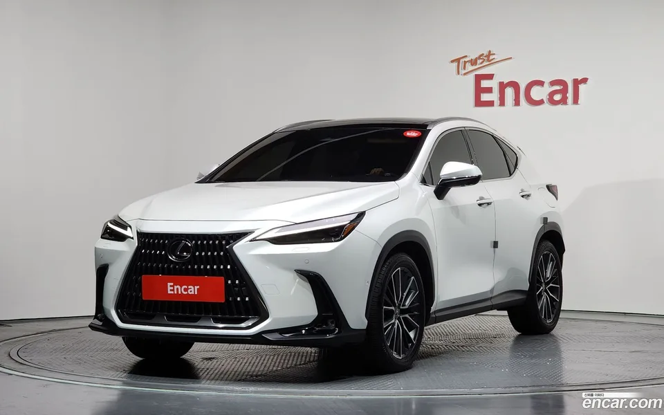 Lexus NX 350h 2024 — фото 1, купить с доставкой в Москву