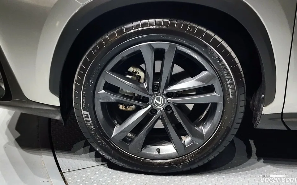 Lexus NX 350h 2024 — миниатюра 2