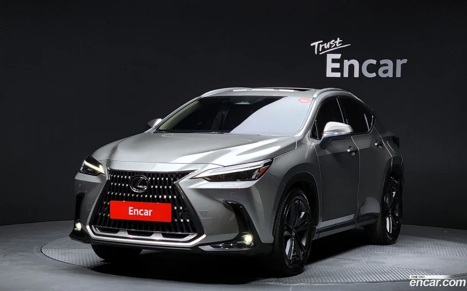 Lexus NX 350h 2024 — фото 1, купить с доставкой в Москву