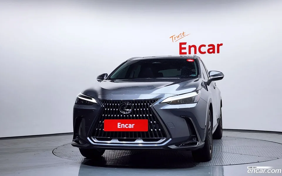 Lexus NX 350h 2024 — миниатюра 3
