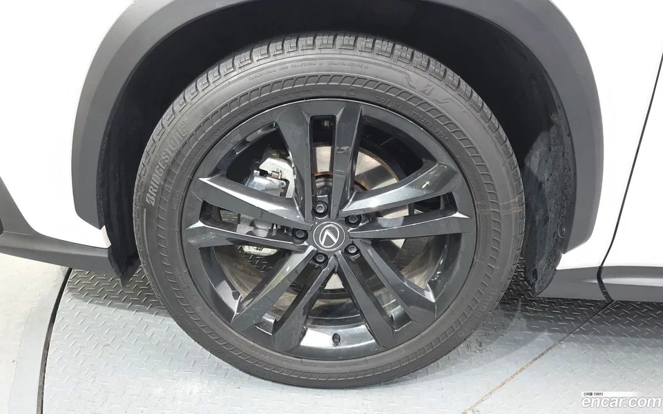 Lexus NX 350h 2024 — миниатюра 2