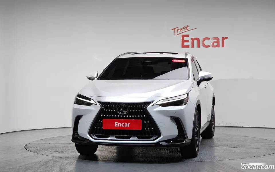 Lexus NX 350h 2024 — миниатюра 3