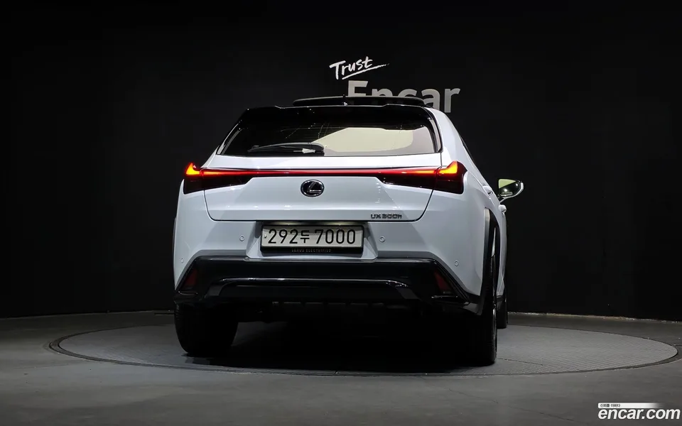 Lexus UX 300h 2.0 F-Sport 2WD 2024 — миниатюра 4
