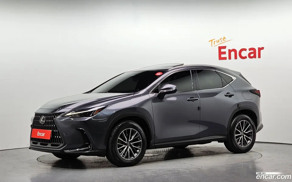 Lexus NX 450h+ 2022 — фото 1, купить с доставкой в Москву