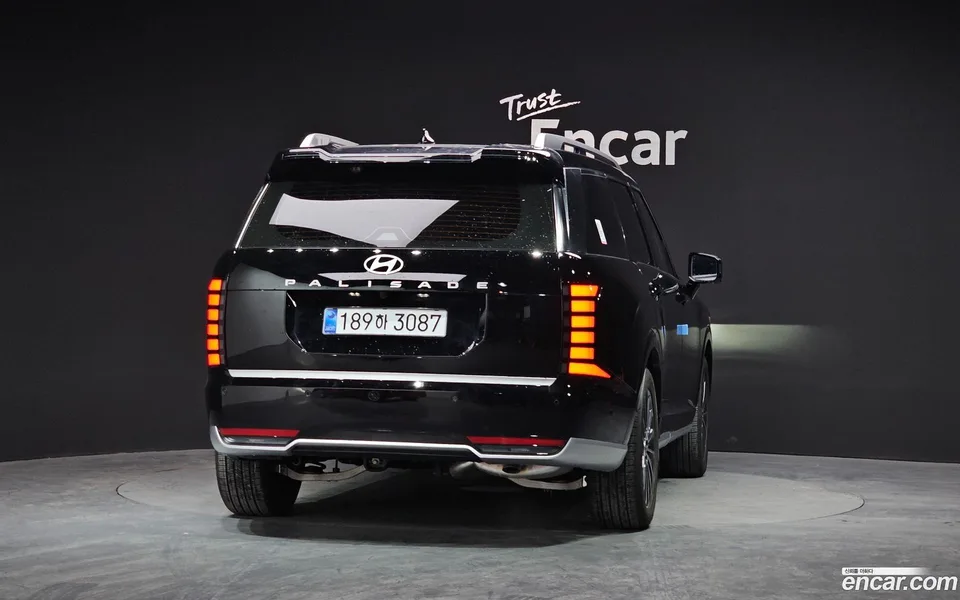 Hyundai Palisade HEV 2.5T 2WD 9 2025 — миниатюра 4