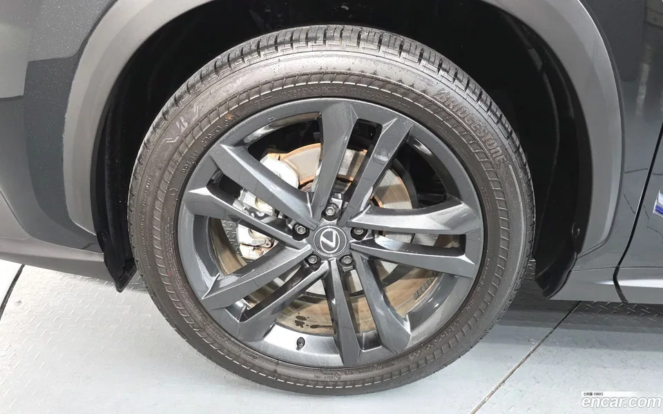 Lexus NX 350h 2024 — миниатюра 2
