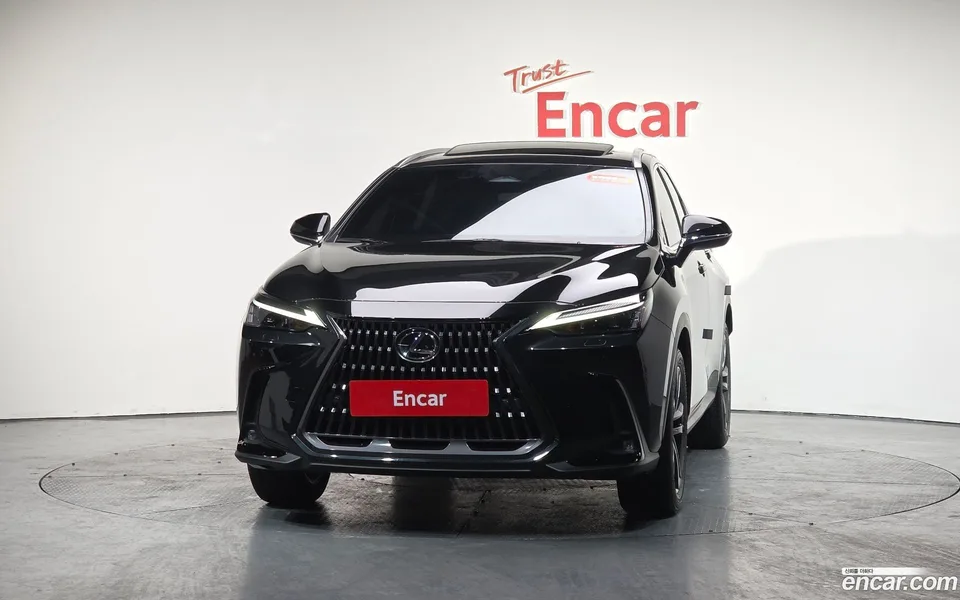 Lexus NX 350h 2024 — миниатюра 3