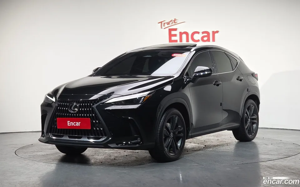 Lexus NX 350h 2024 — фото 1, купить с доставкой в Москву