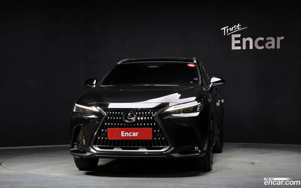 Lexus NX 350h 2024 — миниатюра 3