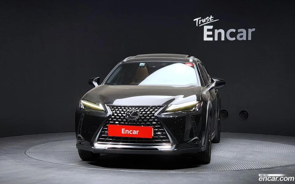 Lexus UX 250h 2.0 2WD 2023 — миниатюра 3