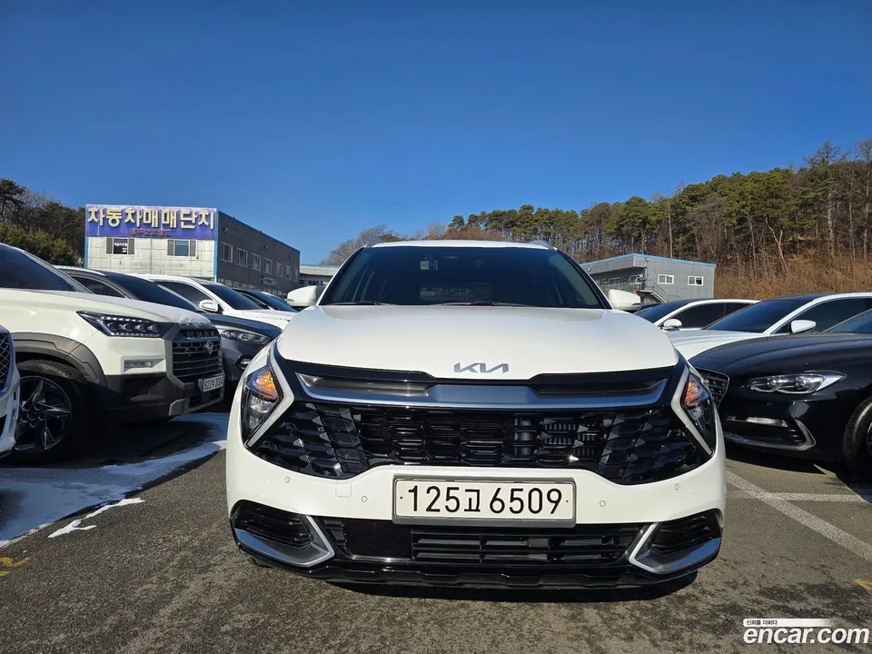 Kia Sportage Hybrid 2WD 2022 — фото 1, купить с доставкой в Москву