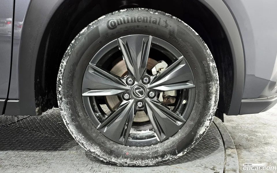 Lexus UX 250h 2.0 2WD 2023 — миниатюра 5