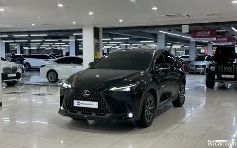 Lexus NX 450h+ 2024 buy in Moscow