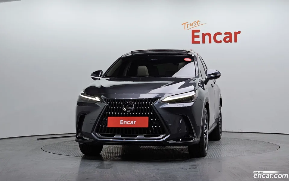 Lexus NX 350h 2024 — миниатюра 3