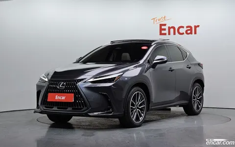 Lexus NX 350h 2024 buy in Moscow